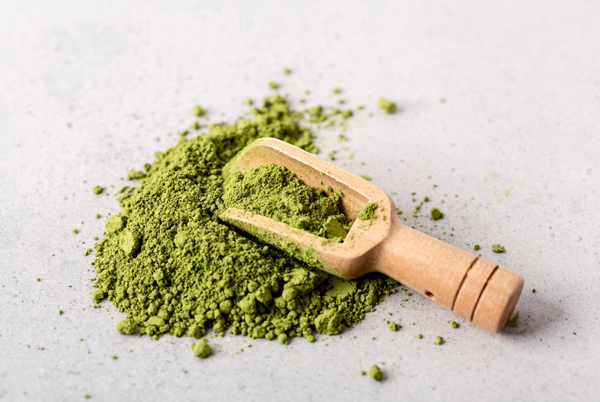 Moringa: Why Africa's Nutritionists Can't Stop Talking About It